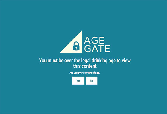 Age Gate - плагин ограничения по возрасту в WordPress