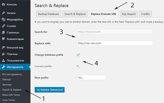 Замена домена в Search & Replace