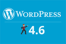 Wordpress 4.6