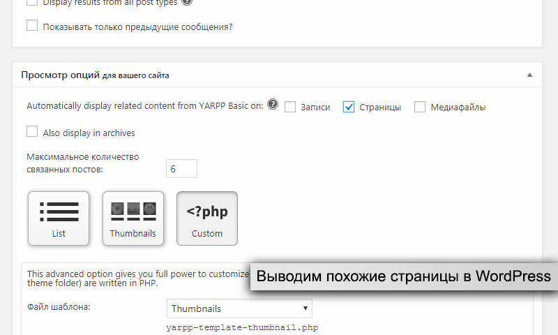 Wp вывести изображение записи