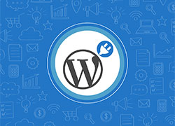 WordPress 