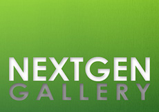 Плагин NextGEN Gallery 