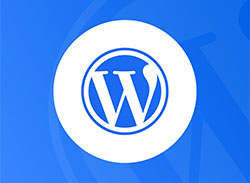 Движок WordPress
