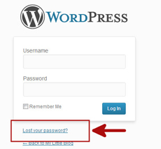 восстановить пароль в wordpress