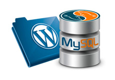 WordPress SQL запросы